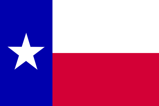 Baytown Republican Women TX flag